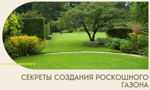 Секреты создания роскошного газона в Партизанске